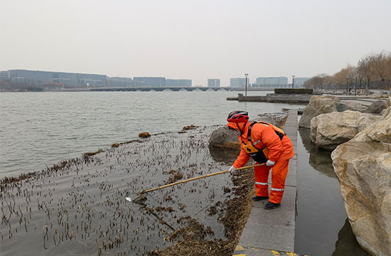 【业务资讯】清理河道环境 守护水清岸绿
